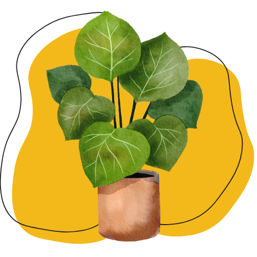 nature naturopathe naturopathie